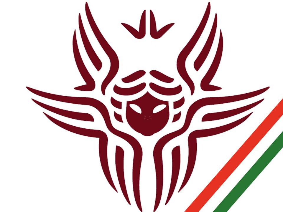 project logo